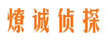 罗平调查事务所